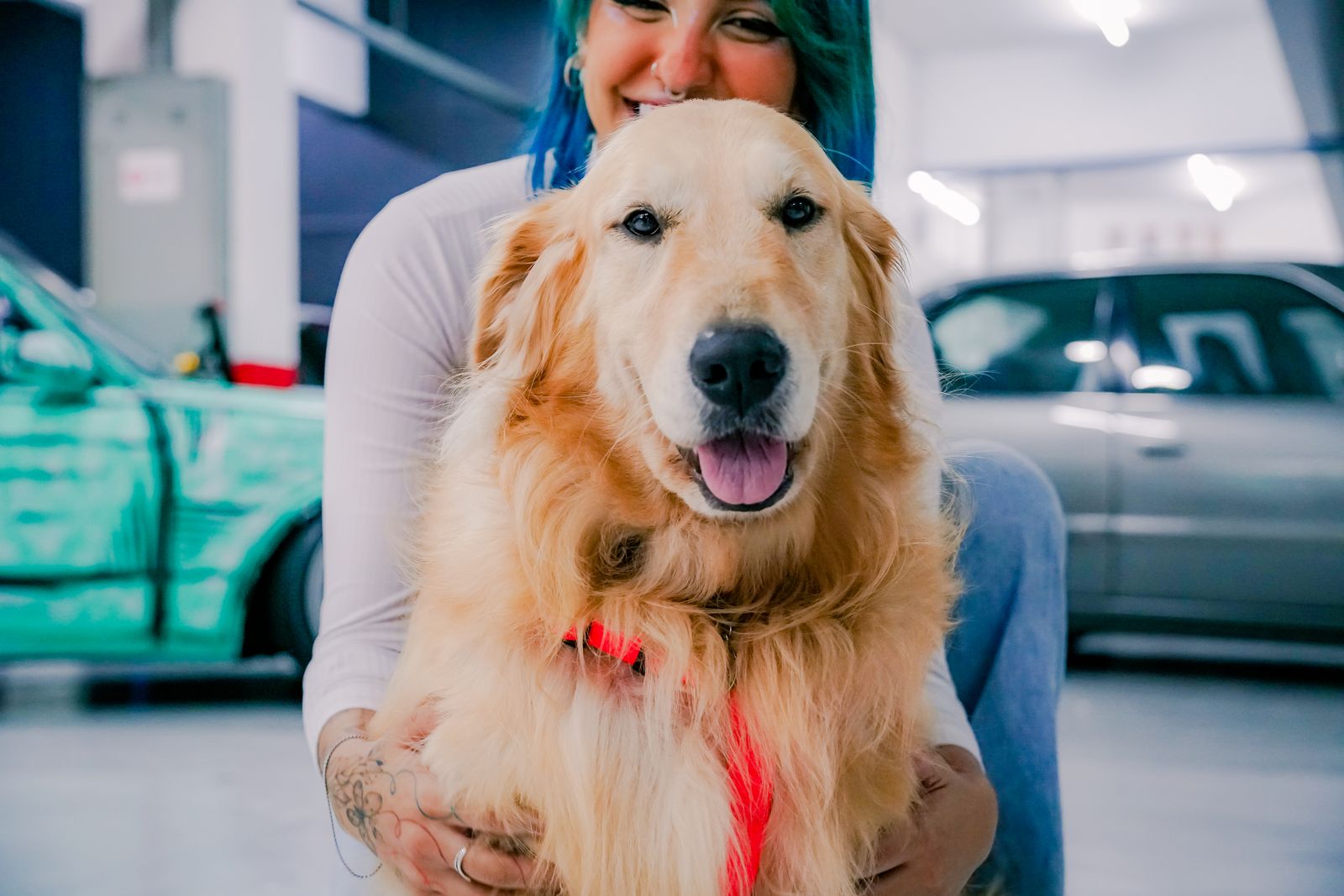 Golden retriever alegre e proprietário em um ambiente interno, sorrindo para a câmera.